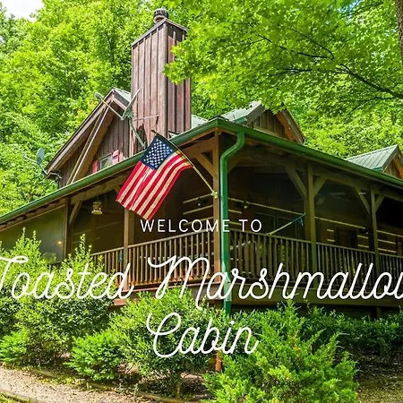 Pigeonforge Cabin Game Roomdog Friendlyhot Tub